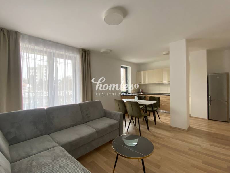 One bedroom modern apartment for rent with garage, new building