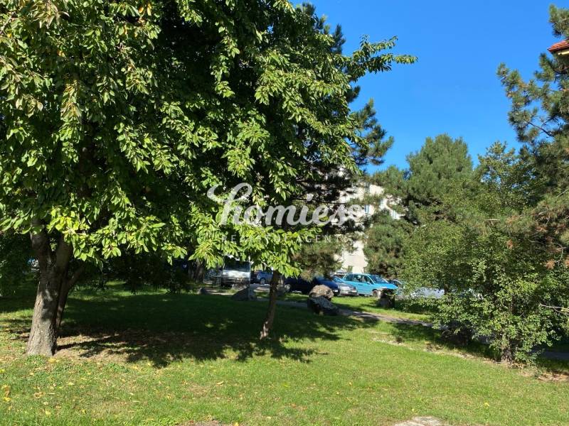 Rent One bedroom apartment, One bedroom apartment, Vajanského, Nitra, 