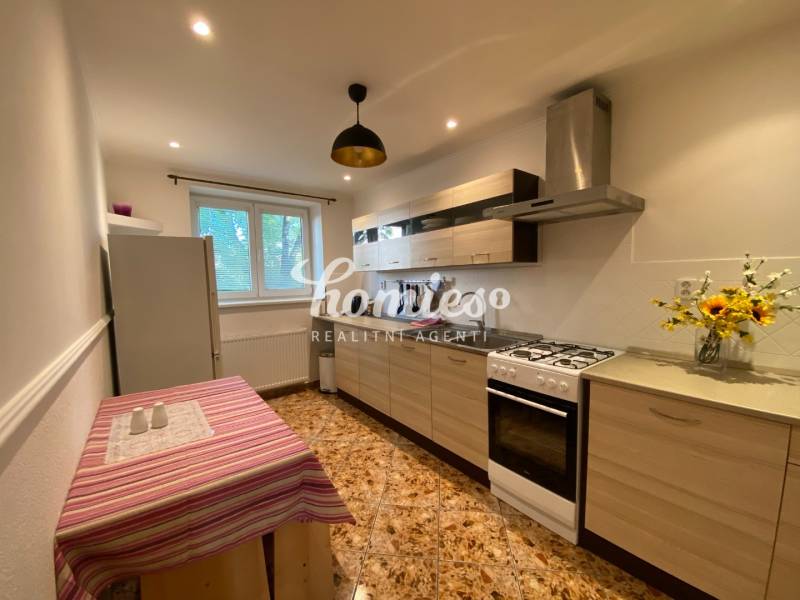 Rent One bedroom apartment, One bedroom apartment, Vajanského, Nitra, 