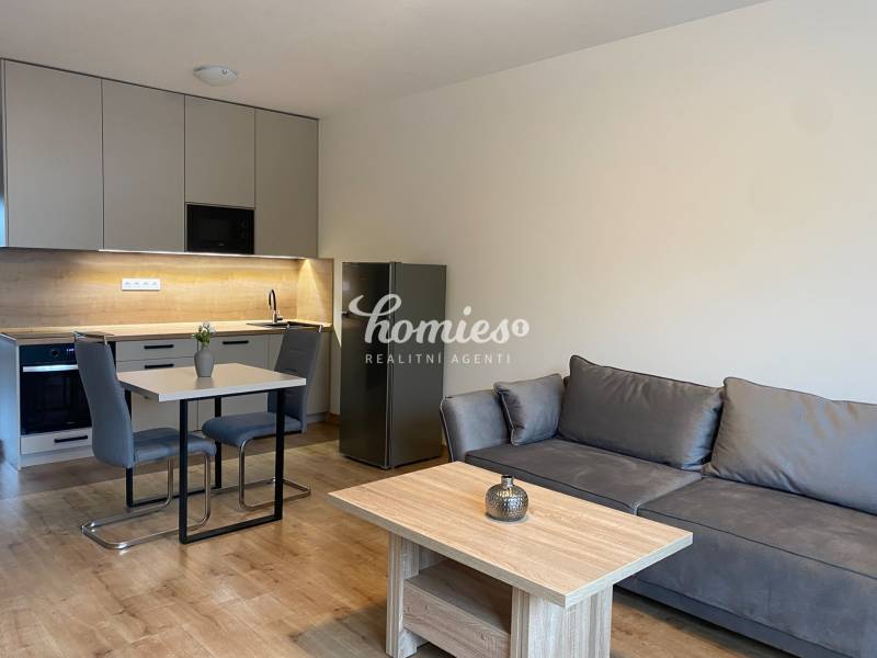 One bedroom apartment for rent,  city center, Nitra, 