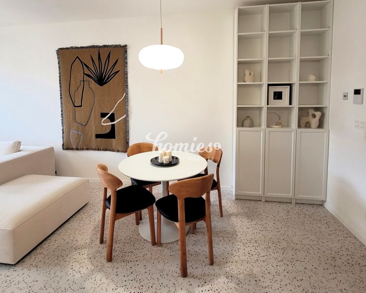 Rent One bedroom apartment, One bedroom apartment, Piaristická, Nitra,
