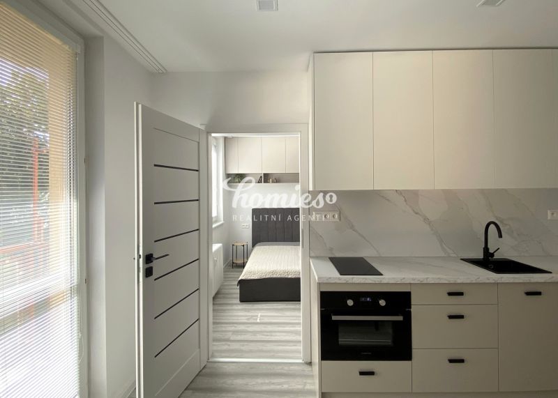 1-bedroom modern flat for rent,  Trenčín - Noviny
