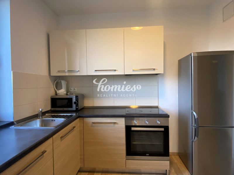 2-bedroom modern apartment for rent with garage, terrace